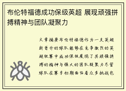 布伦特福德成功保级英超 展现顽强拼搏精神与团队凝聚力